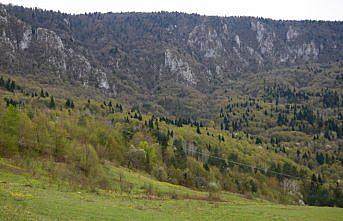 “Saklı cennet“ Şenpazar doğa içinde izolasyon imkanı sunuyor