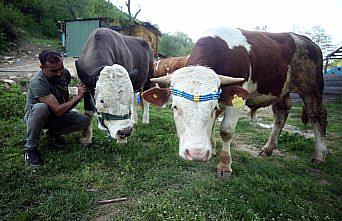 Salgın sürecinde yerleştiği köyde yaptığı bungalov evler izole tatilin adresi oldu