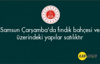Samsun Çarşamba'da fındık bahçesi ve üzerindeki yapılar satılıktır