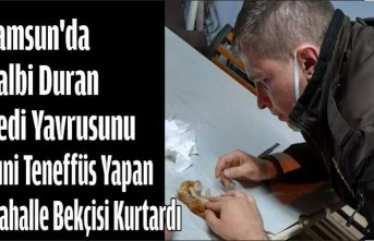 Kalbi duran kedi yavrusunu suni teneffüs yapan mahalle bekçisi kurtardı