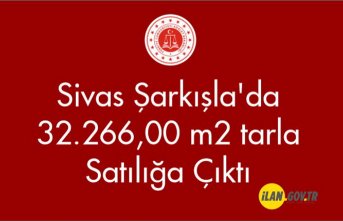Sivas Şarkışla'da 32.266,00 m² tarla Satılığa Çıktı