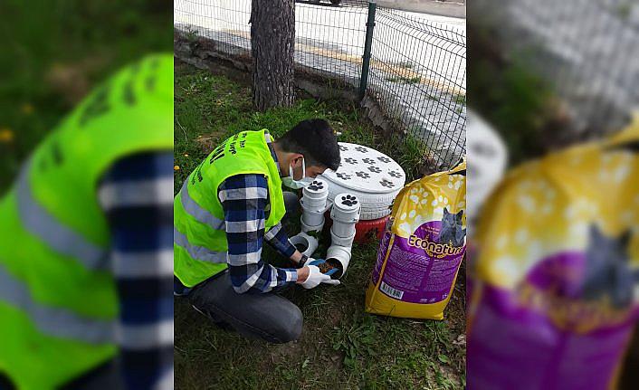 Sokağa çıkma kısıtlamasında Samsun'da sokak hayvanlarını jandarma ekipleri besledi