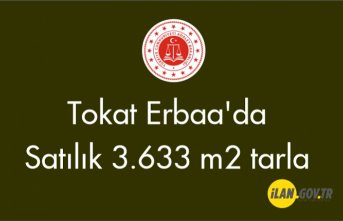 Tokat Erbaa'da Satılık 3.633 m2 tarla