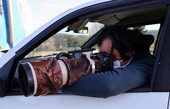 Yeniçağa Gölü, göç mevsiminde kuş fotoğrafçılarının ilgi odağı oluyor