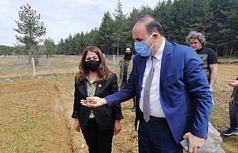 Zonguldak Orman Bölge Müdürü Bayraktaroğlu'ndan Safranbolu Tıbbi ve Aromatik Bitki Şehri'nde inceleme