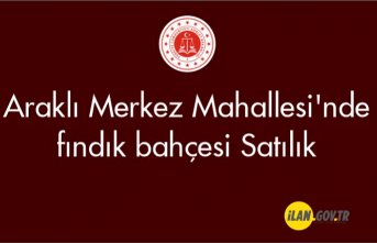 Araklı Merkez Mahallesi'nde fındık bahçesi Satılık