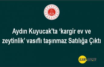 Aydın Kuyucak'ta ‘kargir ev ve zeytinlik’ vasıflı taşınmaz icradan Satılık
