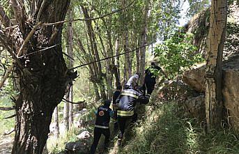 Bayburt'ta nehir kenarına düşen otomobil duvar ile ağaç arasına sıkıştı: 2 yaralı