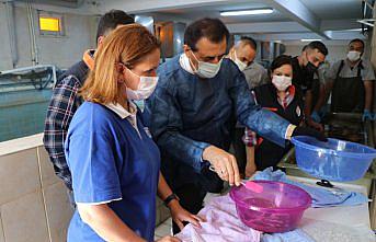 Bolu Valisi Ahmet Ümit, sazan balığı sağımı yaptı