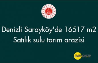 Denizli'de 16517 m2 sulu tarım arazisi Satılık