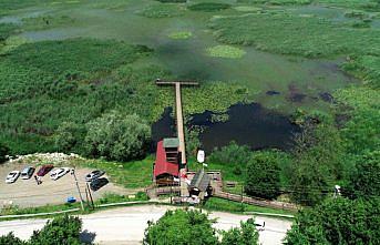 Efteni Gölü Kuş Cenneti kademeli normalleşmeyle 