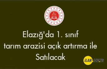 Elazığ'da 1. sınıf tarım arazisi açık artırma ile satılacak