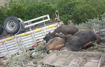 Gümüşhane'de hayvan yüklü tır devrildi: 1 ölü