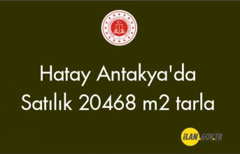 Hatay Antakya'da 20468 m2 tarla Satılık