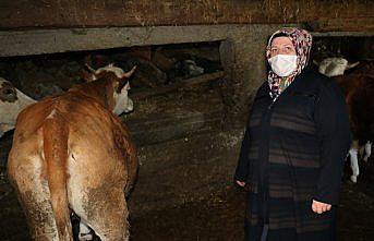 Karabük'te engelliler besici olma hayallerine İŞKUR sayesinde kavuştu