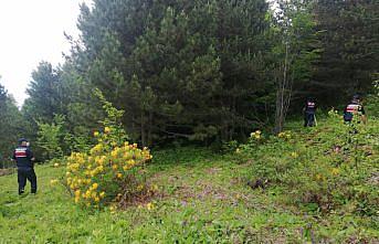 Kastamonu'da 2 hafta önce kaybolan kişiyi arama çalışmaları sürüyor