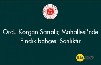 Korgan Sarıalıç Mahallesi'nde fındık bahçesi Satılık