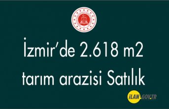 Ödemiş Güney Mahallesi'nde 2.618 m² tarım arazisi Satılık