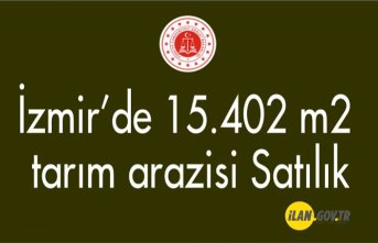 Ödemiş Kaymakçı Mahallesi'nde 15.402 m² tarım arazisi Satılık