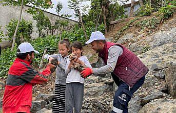 Samsun'da kayalıklara sıkışan köpek yavruları iş makinesi ile kurtarıldı