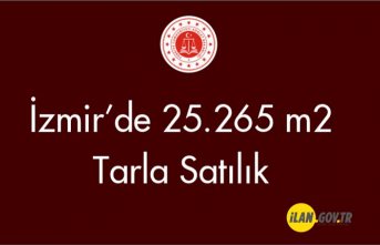 Tire Peşrefli Mahallesi'nde 25.265 m² tarla Satılık