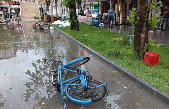Tokat'ta şiddetli rüzgar ve sağanak tarım arazilerine zarar verdi