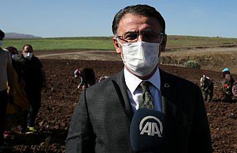 Valiliğin desteği ile Tokat lavanta kokacak