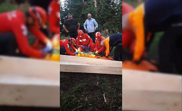 Artvin'de uçuruma düşen kadın hayatını kaybetti