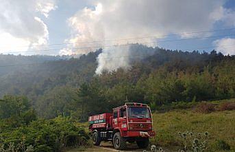 Bafra'da çıkan orman yangına müdahale ediliyor