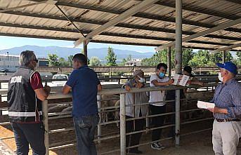 Bolu emniyetinden Kurban Bayramı öncesi hayvan pazarında sahte para denetimi