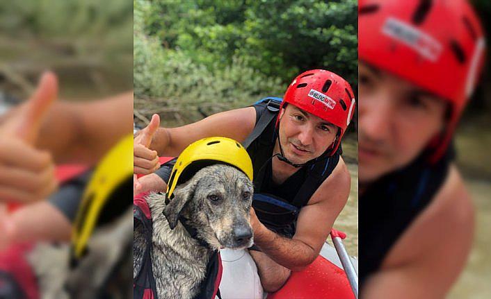 Düzce'de raftingciler Melen Çayı'ndan kurtardıkları sokak köpeğini sahiplendi