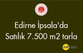 Edirne İpsala'da satılık 7.500 m² tarla