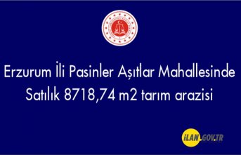 Erzurum İli Pasinler Aşıtlar Mahallesinde 8718,74 m² tarım arazisi Satılık