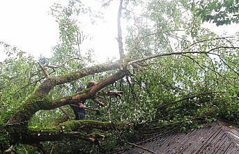 Giresun'da yağış nedeniyle devrilen ağaç eve zarar verdi