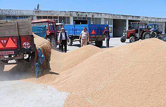Havza'da hasatla buğday pazarında hareketlilik başladı