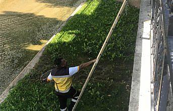 Kastamonu'da dereye düşüp sakatlanan kediyi ekipler kurtardı