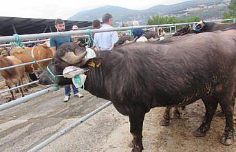 Kavak'ta jandarmadan sahte para ve dolandırıcılık uyarısı