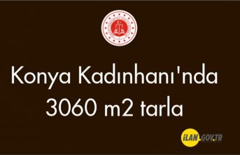 Konya Kadınhanı'nda 3060 m² tarla Satılık