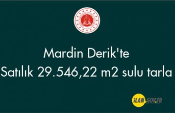 Mardin Derik'te 29.546,22 m² sulu tarla Satılık