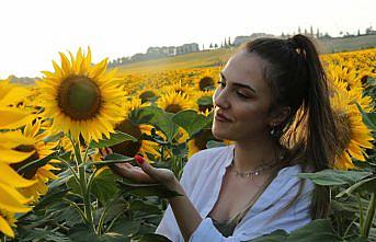 Samsun'da ayçiçeği tarlaları doğal fotoğraf stüdyosuna dönüştü