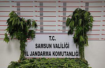 Samsun'da uyuşturucu operasyonlarında 16 şüpheli yakalandı