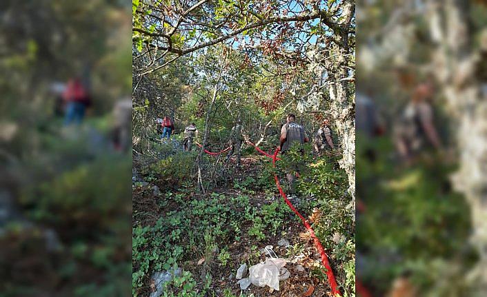 Sinop'ta çıkan orman yangınında 2 hektar alan zarar gördü