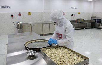 TKDK desteğiyle kurdukları fabrikada üretilen Kastamonu mantısını dünyaya tattırmak istiyorlar