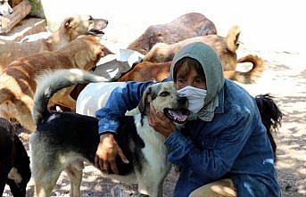 Zonguldak'ta 62 yaşındaki kadın hayatını sokak köpeklerine adadı