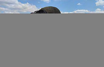 Amasya'nın Suluova ilçesinde erkenci kuru soğan hasadı başladı