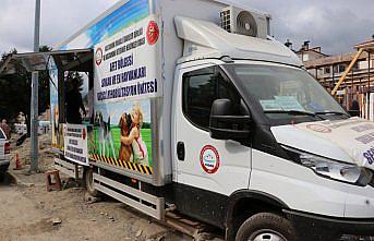 Bozkurt'ta selden etkilenen hayvanların bakımını 