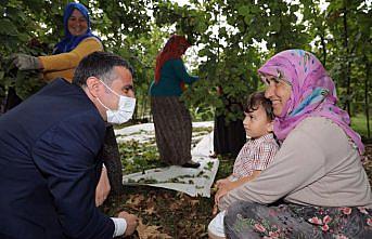 Düzce Valisi Atay, işçilerle fındık topladı