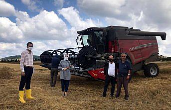 Eflani'de 50 bin dekar alanda hububat hasadı sürüyor