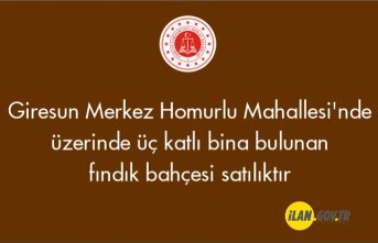 Giresun Merkez Homurlu Mahallesi'nde üzerinde üç katlı bina bulunan fındık bahçesi satılıktır