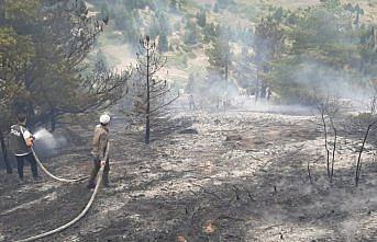 Giresun'da çıkan örtü yangını söndürüldü